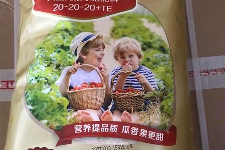 蓝莓用什么肥料最合适怎样给蓝莓施肥