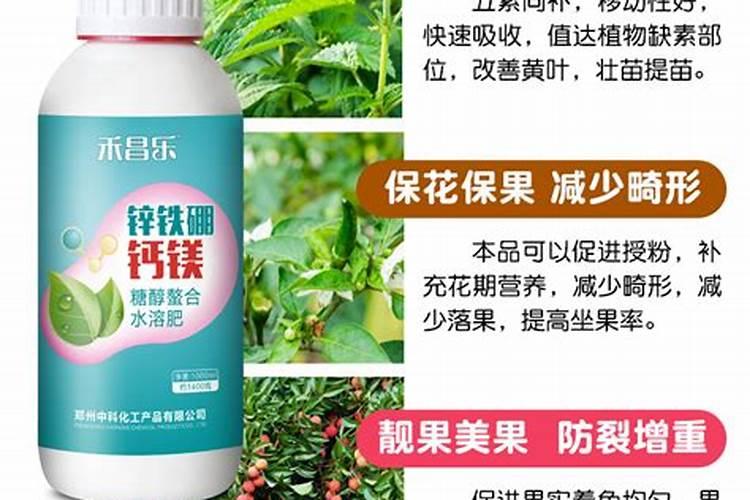 叶面肥什么时候打效果好