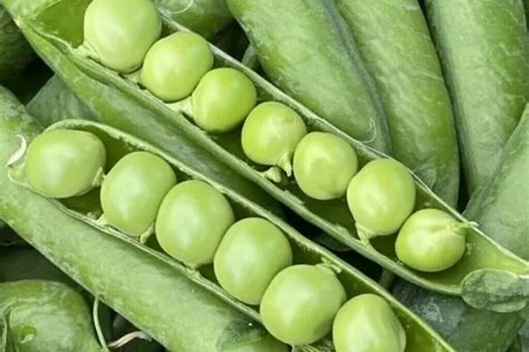 结婚婚床的摆放常识