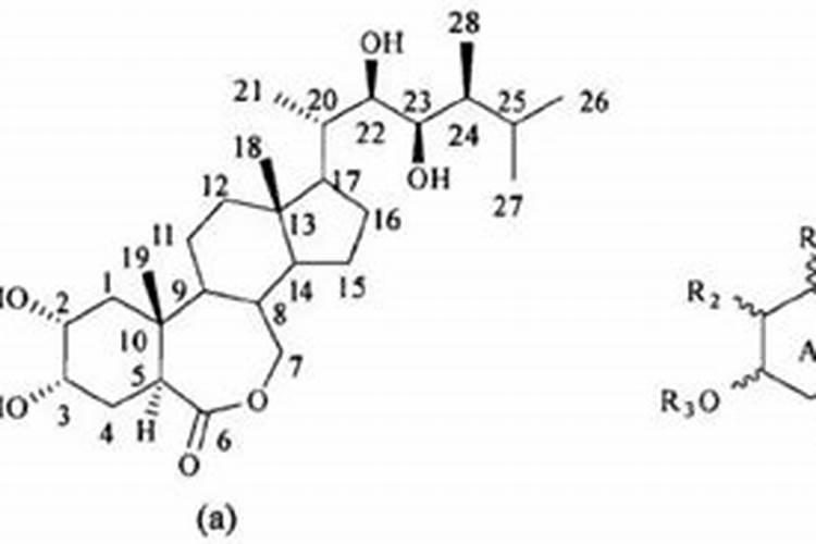怎样洗白零菱角更快