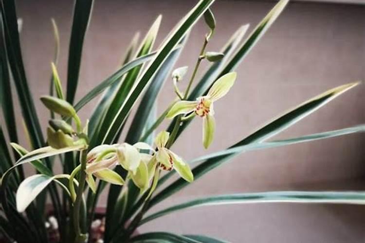 化肥的发明对农业发展带来了哪些影响？