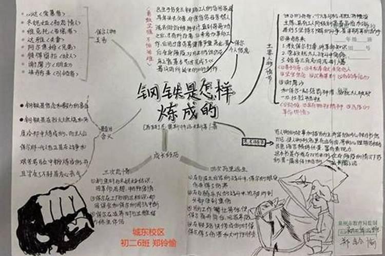 含氨基酸水溶肥料标准的简介