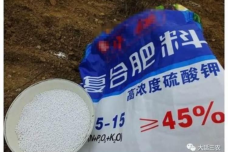 蓝莓专用肥料哪个牌子好