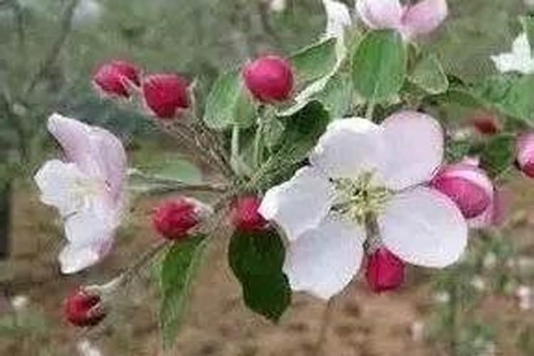 2025年7月21号钾肥价格