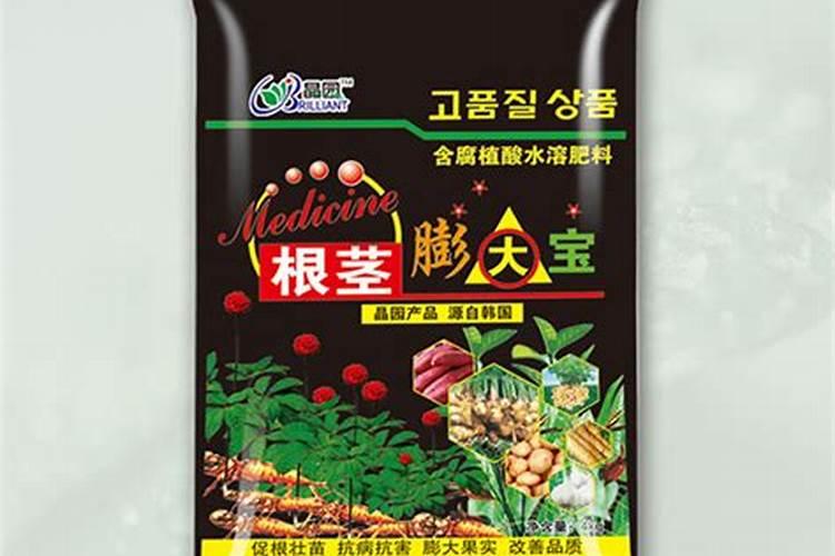 九里香黄叶的原因和处理办法