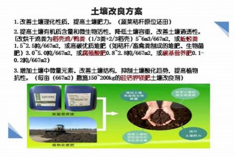 硅肥的作用及使用方法