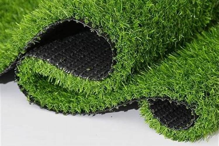 马尼拉草皮如何施肥