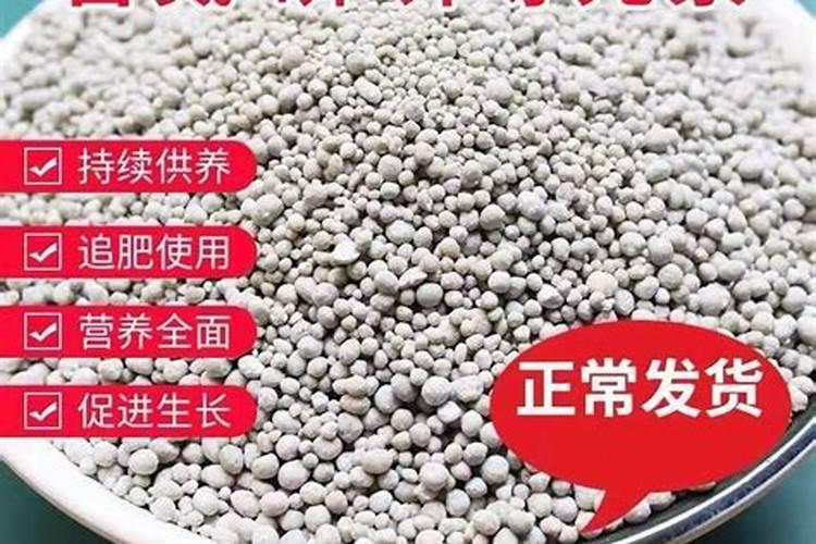 养花的十大最佳肥料