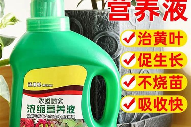 养花施什么肥料、肥料怎么施肥效果好