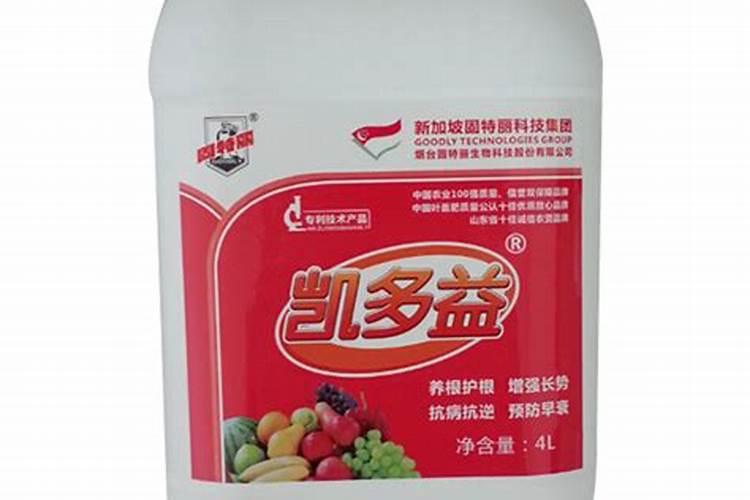 干果具体包括什么