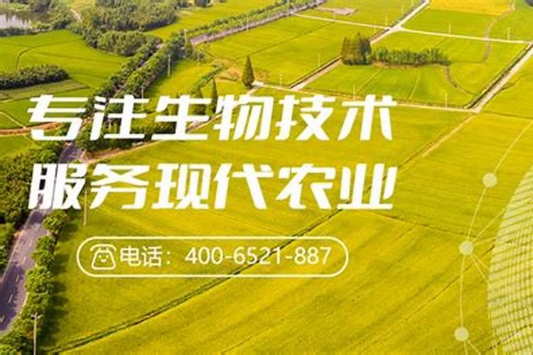 核桃树什么时候施肥 核桃树什么时候施肥,施什么肥最好