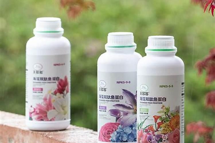 大姜后期锌硼多久喷一次,间隔多少天？