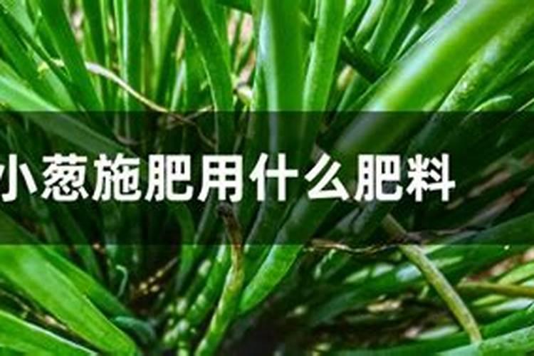 晶体钾和红钾哪个好