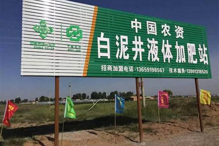 北方冬天大棚可以种西红柿吗？