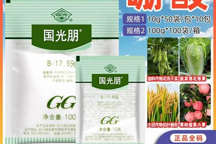 种大葱需要什么肥料