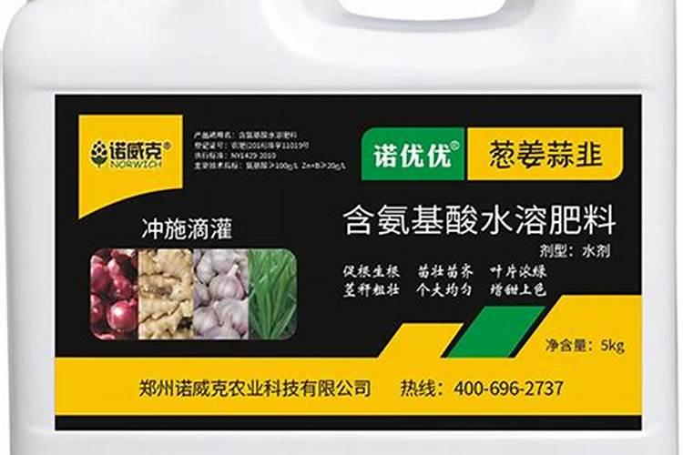 水培郁金香需要什么营养液