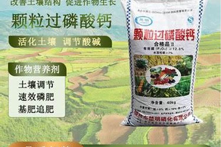 为什么柚子树不开花