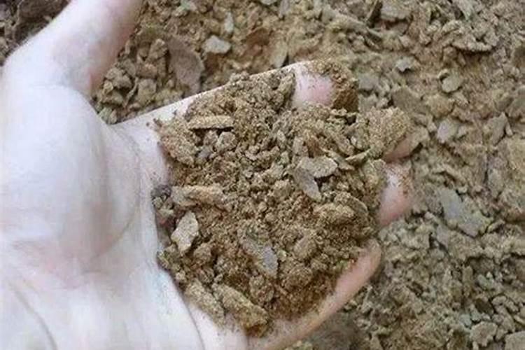 鱼缸养水草的正确方法