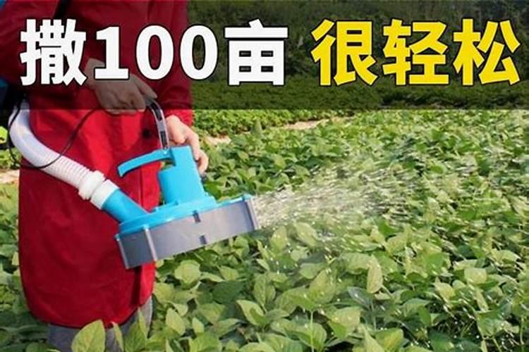 自己做植物肥料(自制肥料养花)
