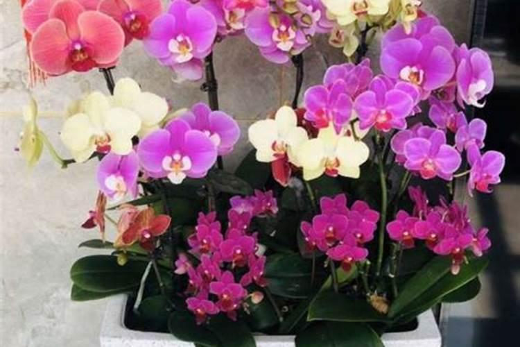 矿源黄腐酸钾的作用