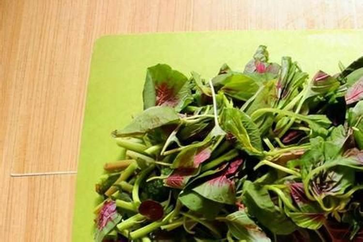 红菜苔多久施一次肥