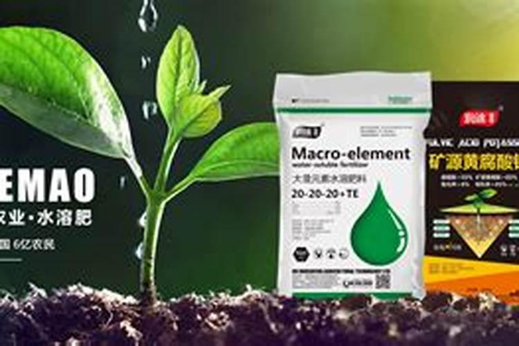 栀子花病了,叶子发黄,绿叶变成绿点或绿斑,叶子开始枯萎。,这是什么病...