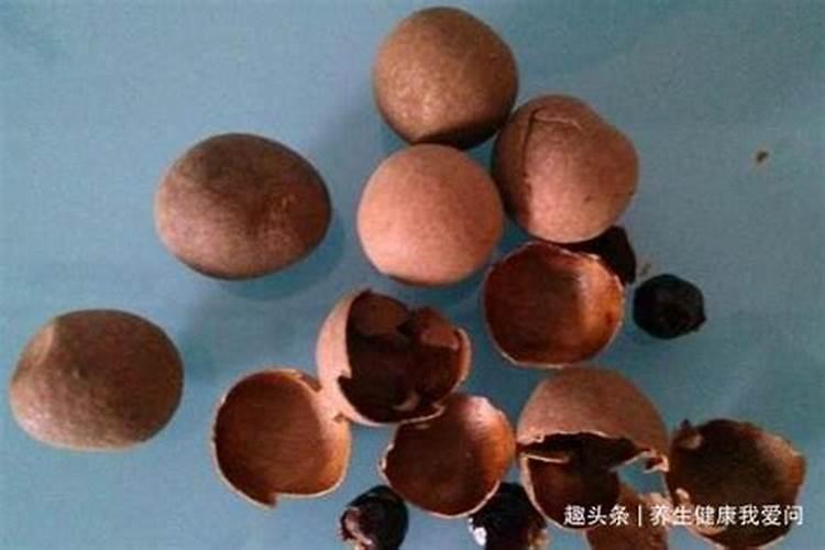 澳都丰水溶肥怎么样