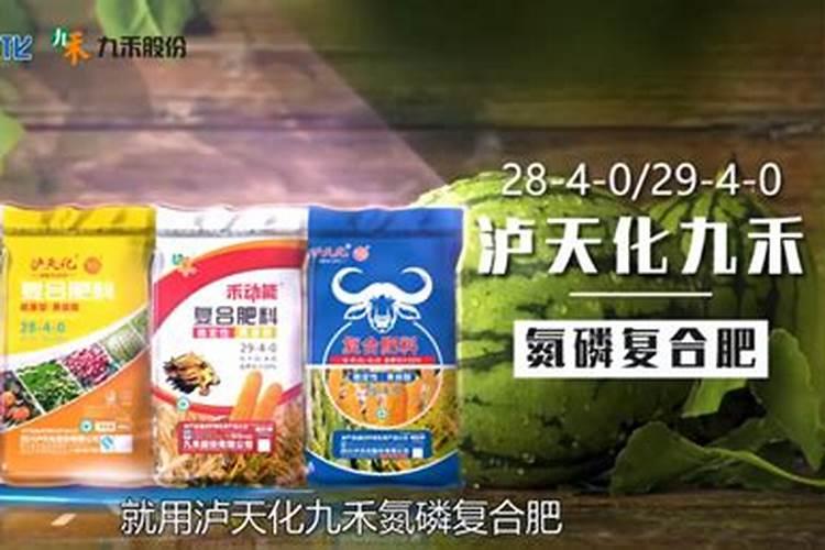 硝基肥适不适合种茶叶