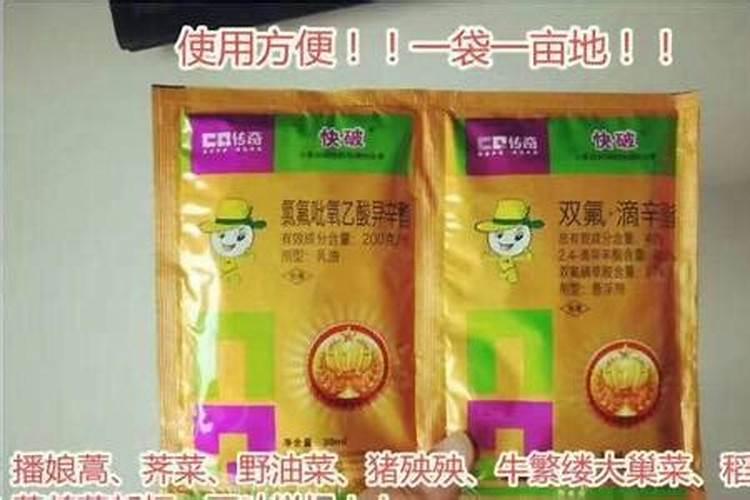芸苔素多久喷一次,什么时候不能喷,什么情况下使用