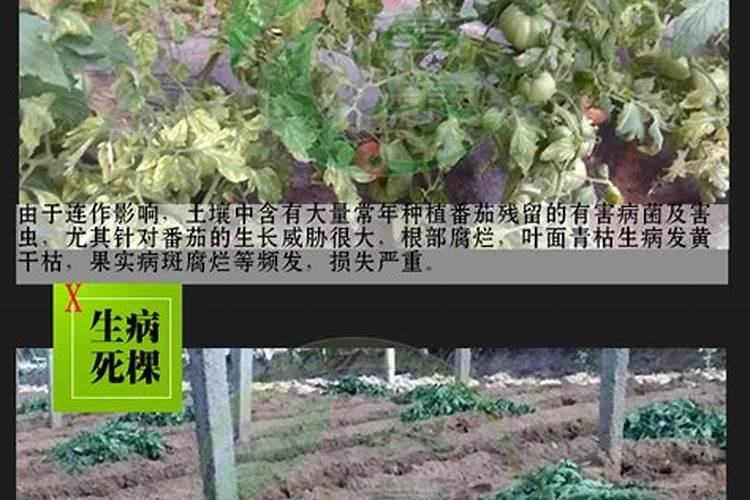 秸秆的发酵技术