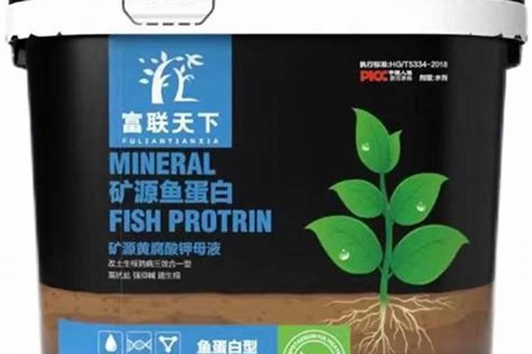 鱼蛋白有什么功效与作用？