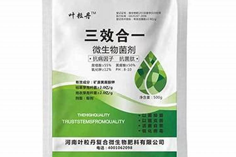 提高肥料利用率的施肥措施有哪些？