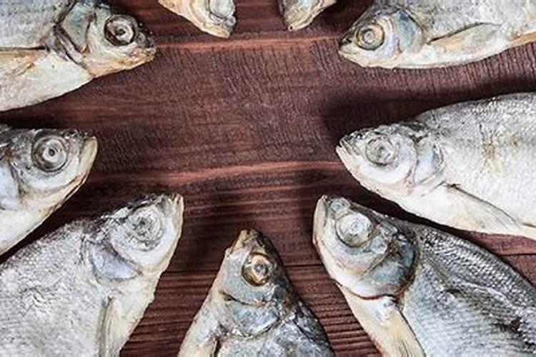 “SeN”代表“ ”时的中文意思是什么？