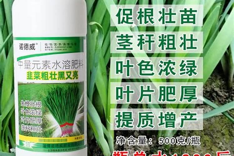 韭菜上什么肥料好