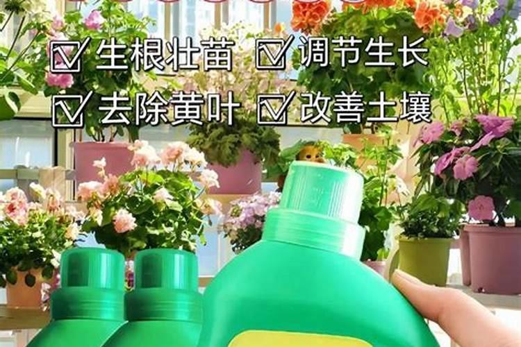 一亩地玉米究竟要施多少化肥