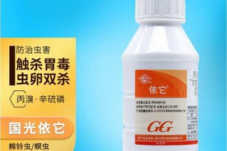 月季和蔷薇的区别带图,4种方法教你如何区别月季和蔷薇