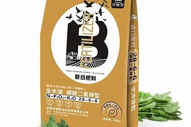 家里的绿萝老是养不好,绿萝的种植技巧有哪些？