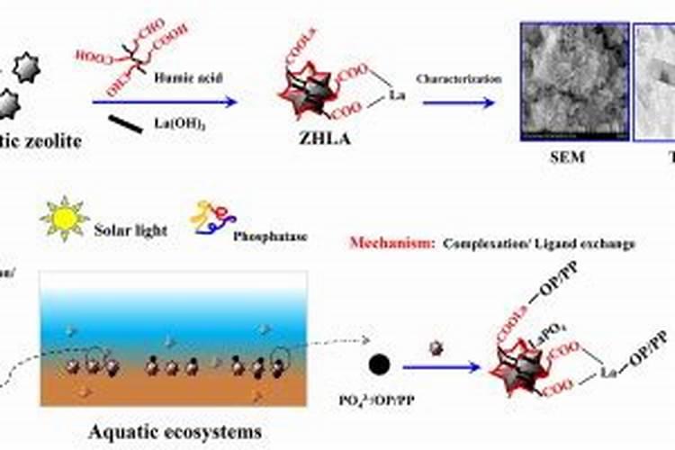 化学弱酸弱碱有什么性质