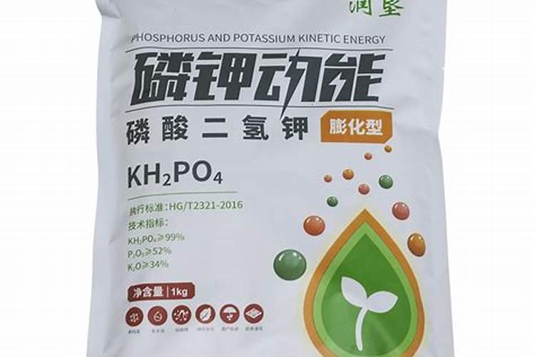 红薯的高产栽培种植技巧 红薯怎么施肥