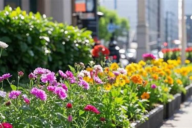 水溶肥是个宝!效果真是好？？