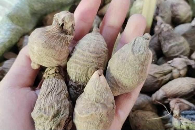 在纯净的硅中掺入相同数量硼原子和磷原子,这时的硅是P型还量N型？百 ...