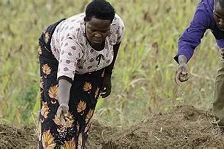 中国A股:未来比黄金还稀缺的这5大资源企业,未来可期