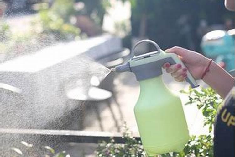 柑橘幼树对钾肥的利用