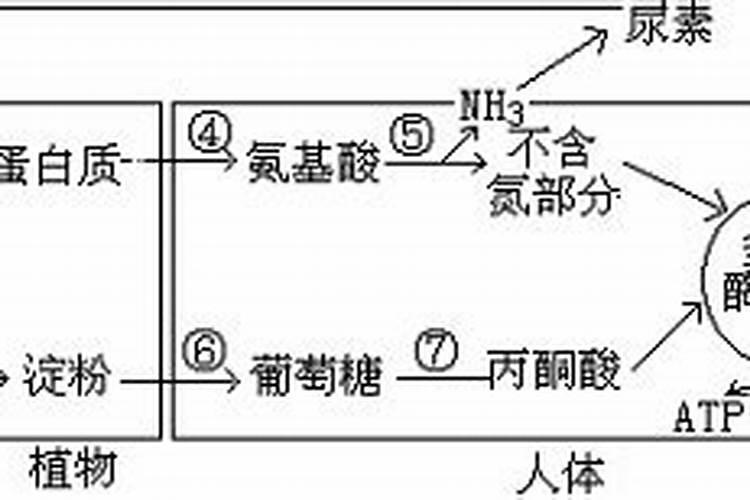 复合肥,尿素属于什么肥料？