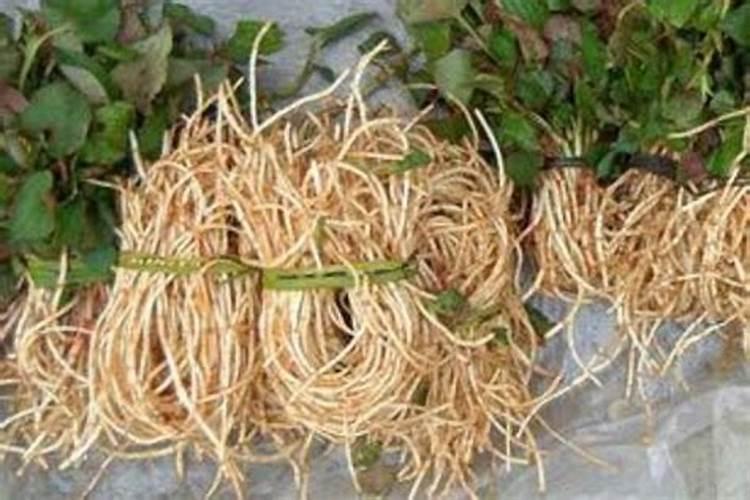 藜芦碱农药混用禁忌