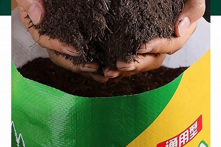 麦种拌了药为什么不能晒 麦种药毒性大吗