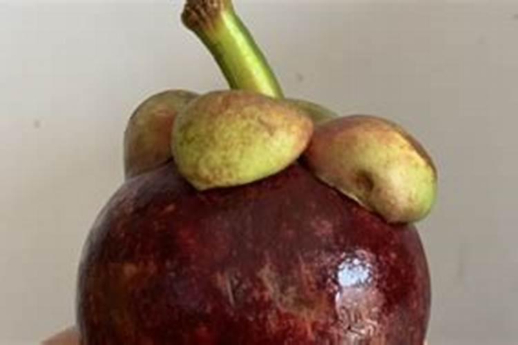 山竹皮可以做花肥吗 山竹皮怎么做花肥