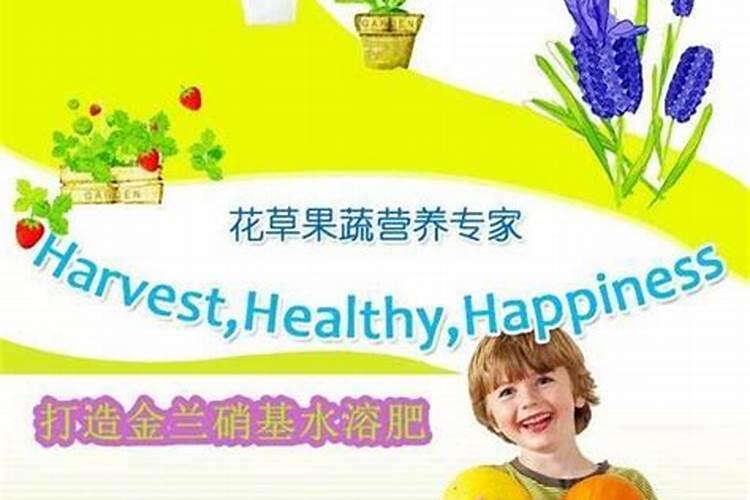 叶面喷施肥补什么营养