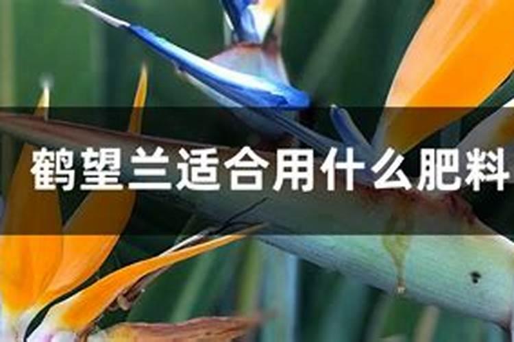 硫酸钾肥的用肥方法？