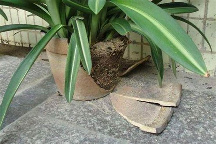 水田改旱田方法